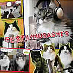 MUSASHI’S/だいすき！！