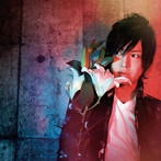LADYBIRD/ベルガモ（TYPE-A）（初回限定盤）（DVD付）