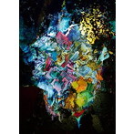 RADWIMPS/×と○と罪と（初回限定盤）