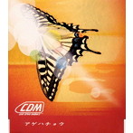 cool drive makers/アゲハチョウ