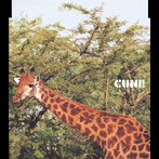 CUNE/クローバー