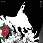 中山ラビ/はだ絵