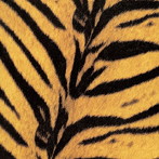 HIGH-LOWS/Tigermobile（紙ジャケット仕様）