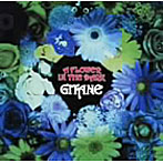 GITANE/A FLOWER IN THE DARK