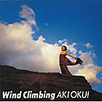奥井亜紀/Wind Climbing