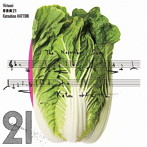 服部克久/音楽畑21-Virtuosi-