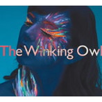 Winking Owl/Into Another World
