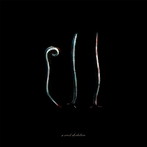 a crowd of rebellion/Ill