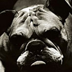 CHARCOAL FILTER/Everything you know is wrong