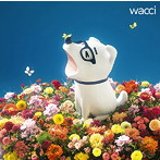 wacci/キラメキ