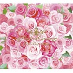 T.M.Revolution/UNDER:COVER（初回生産限定盤）