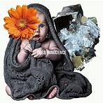 DOES/INNOCENCE（初回生産限定盤）（DVD付）