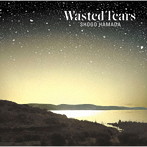 浜田省吾/WASTED TEARS