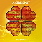 redballoon/ルーズドッグス/AJISAI/Cure Rubbish/A SIDE SPLIT Vol.4〜sunrise field〜
