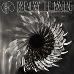 Dir en grey/THE UNRAVELING