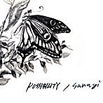POSSIBILITY/sanagi（初回生産限定盤）（DVD付）