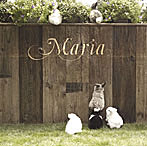MARIA/さよなら 大好きな人