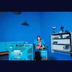 indigo la End/濡れゆく私小説（初回生産限定盤）（DVD付）