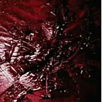 LOCAL ART/MUSIC