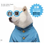 ゴールデンボンバー/ザ・パスト・マスターズ vol.1(初回限定盤C)
