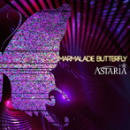 ASTARIA/MARMALADE BUTTERFLY（Btype）