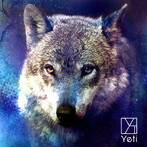 Yeti/ハウル