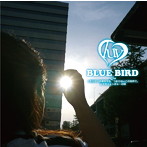 luv/BLUE BIRD