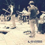 KEATHMOON/Like a live groovin’