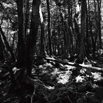 東京酒吐座/turnaround
