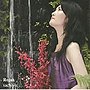 sachiyo/Rojak