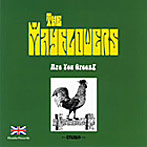 MAYFLOWERS/Are You Green？