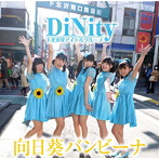 DiNity/向日葵バンビーナ