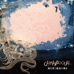 Calmando Qual/闇を貫く激情の輝き（DVD付）