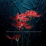 MICRO HEAD 4N’S/REBIRTH-the 3rd form-（通常盤）