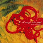 F→C large selection/preserved flower