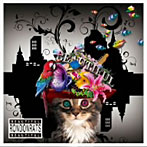 RONDONRATS。/BEAUTIFUL