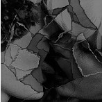 mouse on the keys/Out of Body