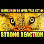 SHAMES/NOW OR NEVER/ファスト・モーション/STRONG REACTION