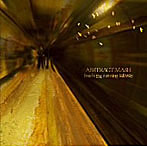 ABSTRACT MASH/Inside the running subway