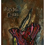 Psysalia psysalis psyche/Matin Brun
