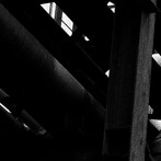 mouse on the keys/machinic phylum
