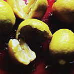 Homosapiens/LemonPop
