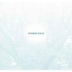 ACIDMAN/equal