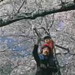 岡林信康/信康（紙ジャケット仕様）