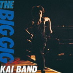 甲斐バンド/THE BIG GIG