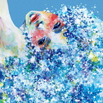 Kie Katagi/Synesthesia