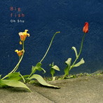 王舟/Big fish