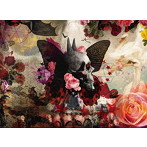 SADS/FALLING Ultimate Edition（初回限定盤）（DVD付）