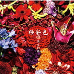 鳴ル銅鑼/極彩色