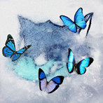 WOLF HOWL HARMONY from EXILE TRIBE/Frozen Butterfly（DVD付）